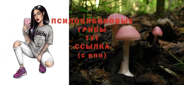 скорость Осташков