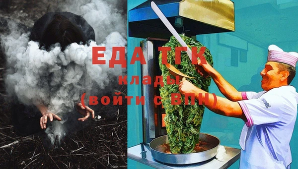 гашик Пестово