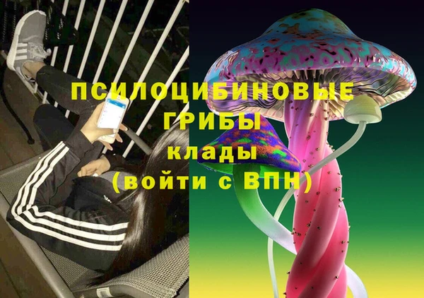 гашик Пестово