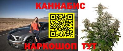 кокс Кандалакша