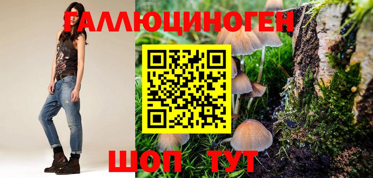 как найти   Вход с VPN  Псилоцибиновые грибы GOLDEN TEACHER  Сухой Лог  Псилоцибиновые грибы мухоморы 